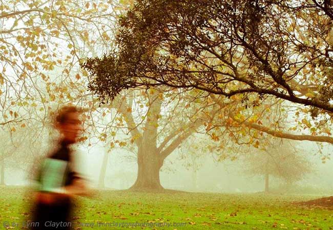 Jogger in The Domain, Auckland